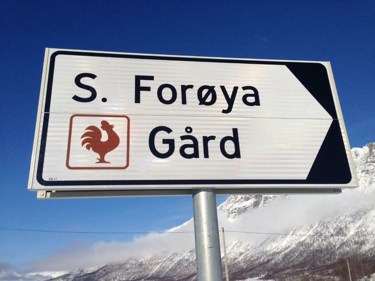 Sondre Foroya Gard Appartamento Tromsø Esterno foto